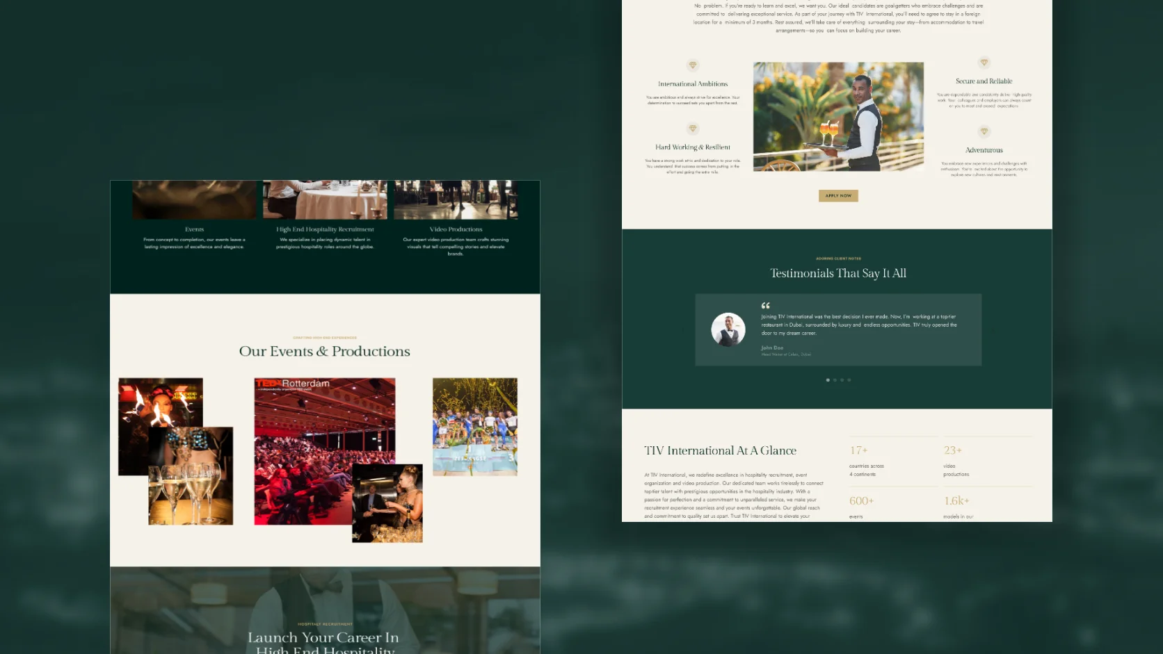 Website tiv international by studio eleva